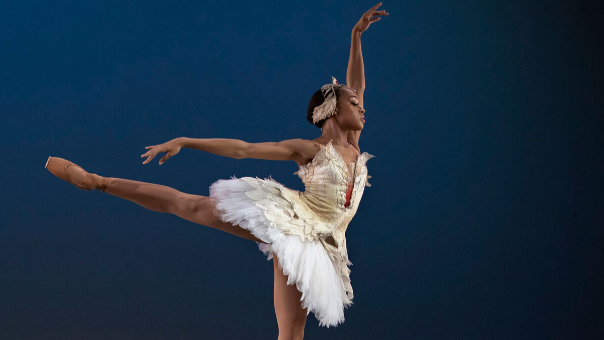 ABT Studio Company in Connections 2026