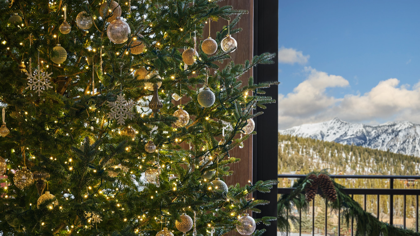 Annual Holiday Lighting Ceremony