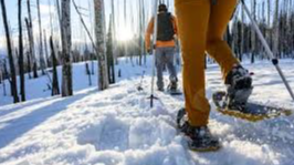 Community Snowshoe at Mountain to Meadow