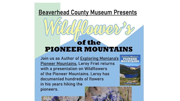 Wildflower's of the Pioneer Mountains