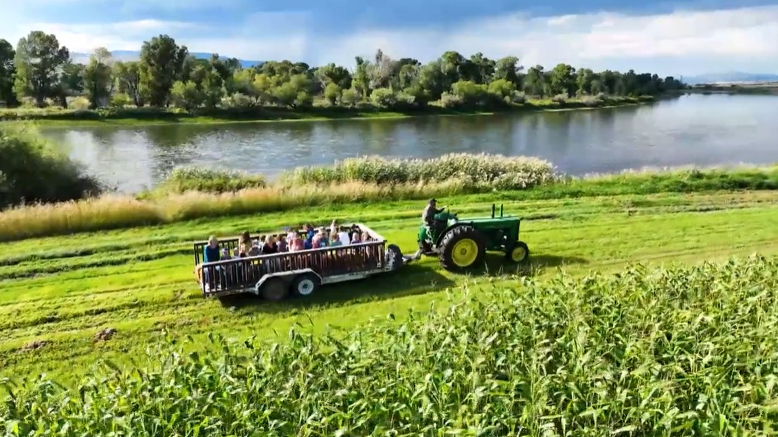  Edgewater Farms Corn Maze