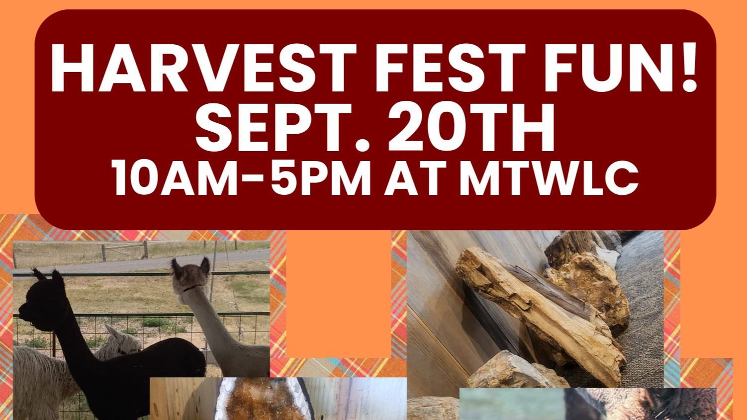 Harvest Fest Fun! at MTWLC