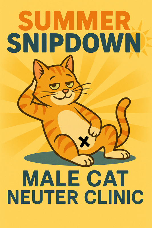 Male Cat Neuter Clinic 