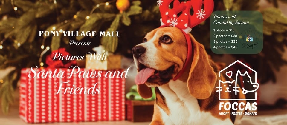 Santa Paws and Friends