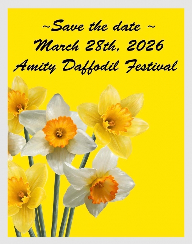 Amity Daffodil Festival