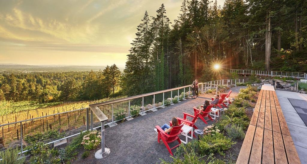 Summer Music Nights at Amaterra