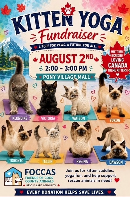 Kitten Yoga Fundraiser