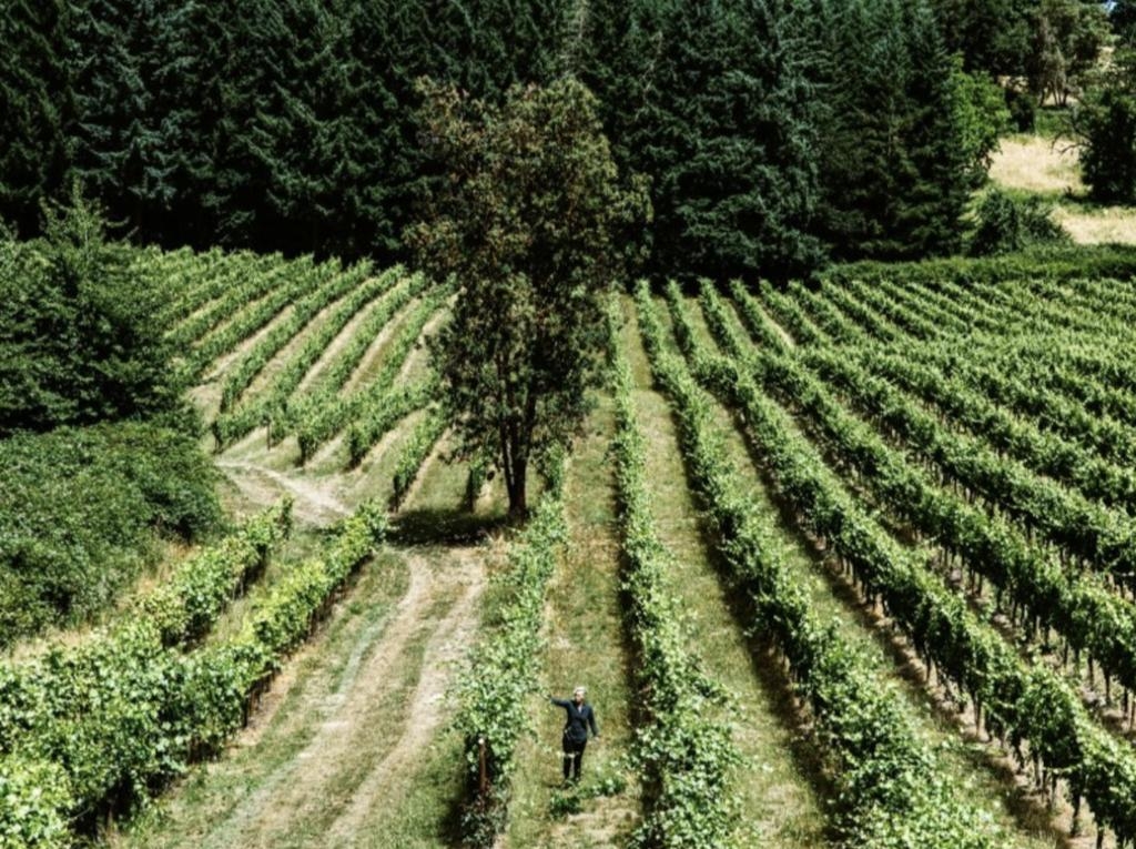 Harvest & TableAn Exclusive Willamette Valley Experience