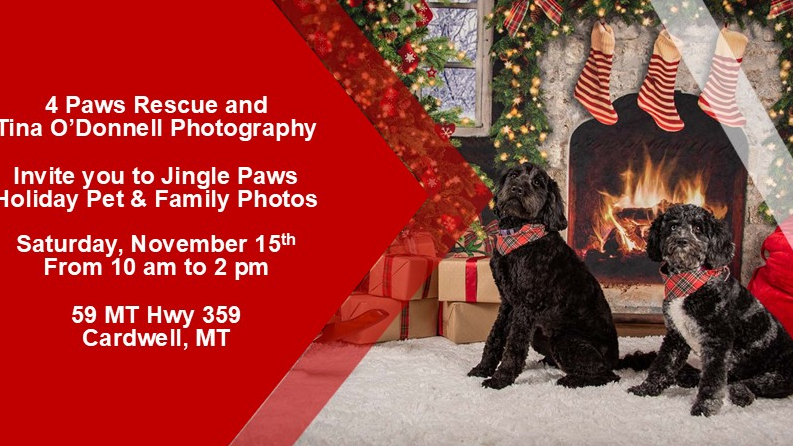 Jingle Paws Holiday Pet & Family Photos