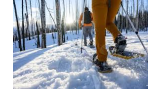 Community Snowshoe