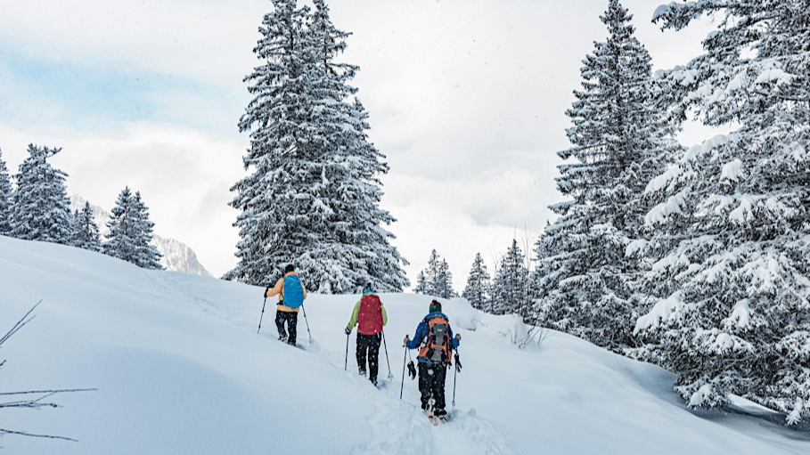 BSCO Community Snowshoe | Mountain to Meadow