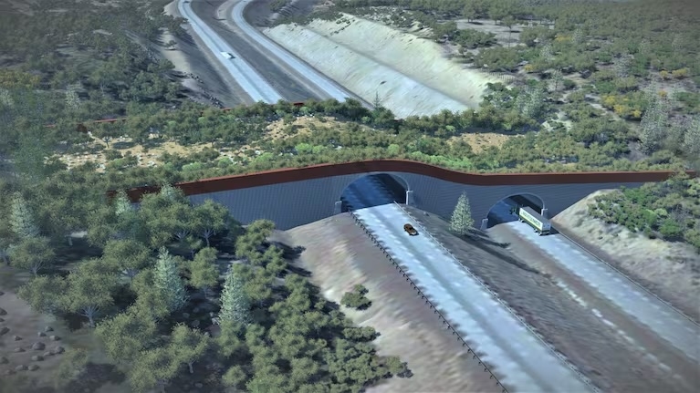 Oregon gets $33 million federal grant to build wildlife crossing over I-5 south of Ashland