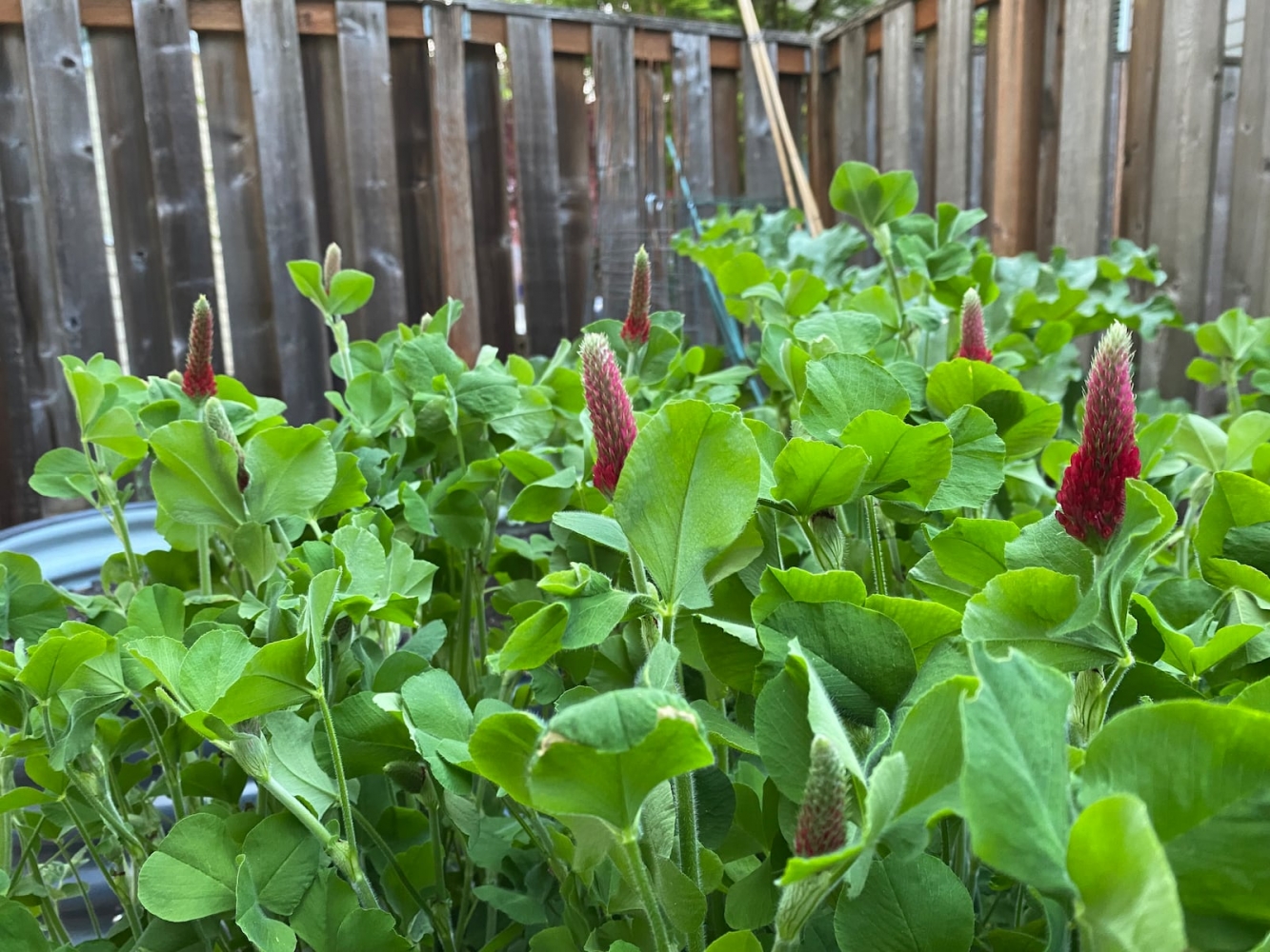 Community Plus - Oregon Today News - The U.S. Takes A Step Towards ...