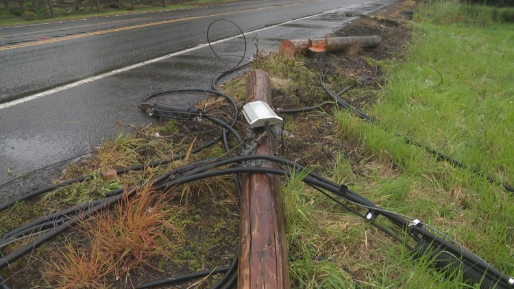 Utility poles may have been 'intentionally' downed in Northeast Portland, police say