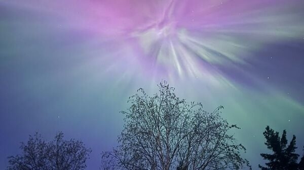 In Pics: Aurora Borealis sighting across the Northern US