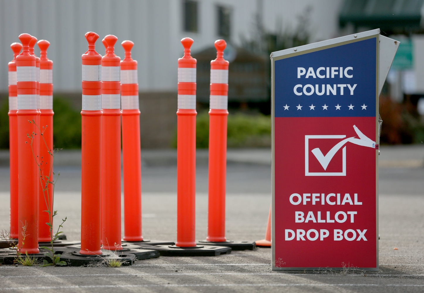Mayors, public safety funding, and libraries on Southwest Washington ballots for Aug. 5 elections