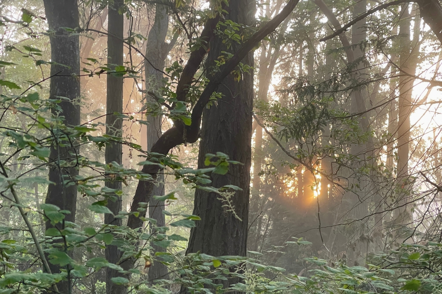 Washington’s outdoor school programs reel from state funding cuts
