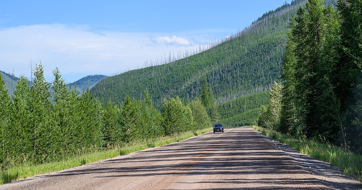 North Fork Road partially treated for dust