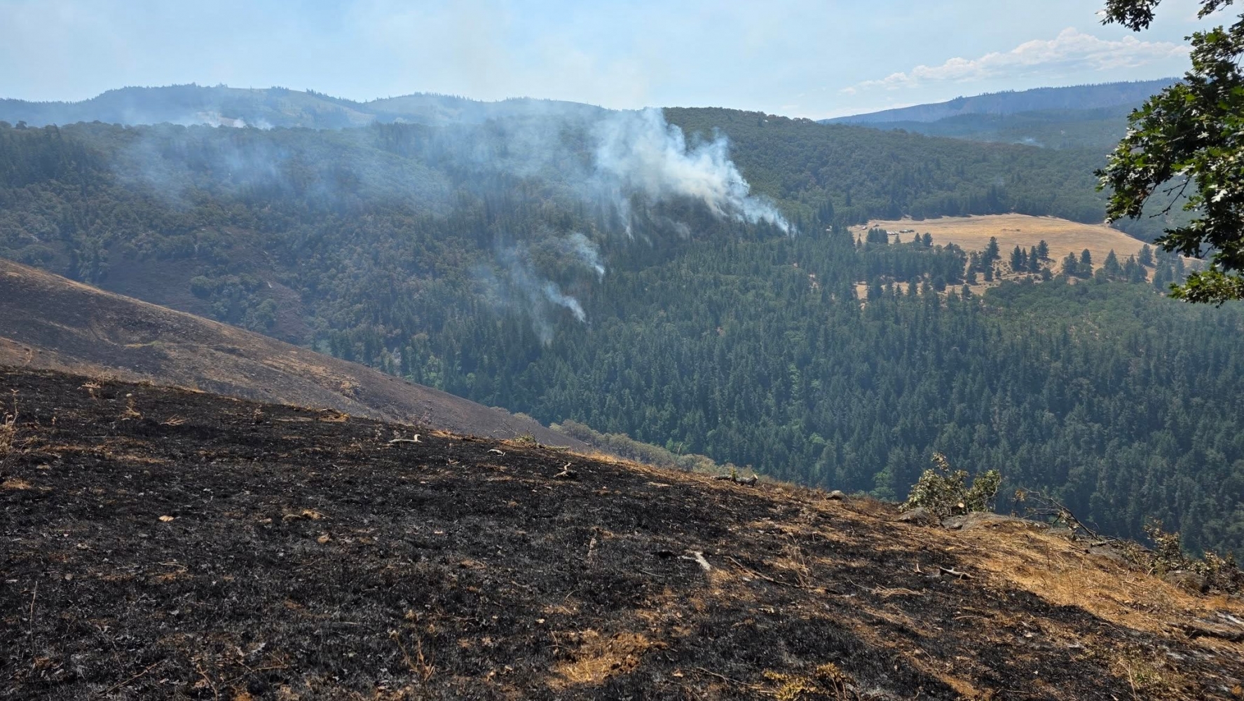 Oregon wildfire updates: Fire rapidly spreading in eastern Oregon, red flag warning issued