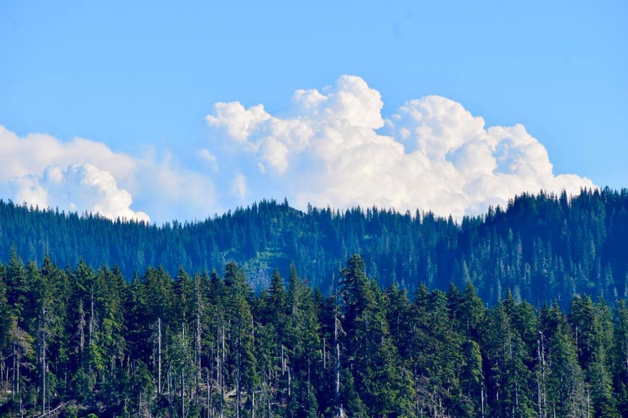 Lightning, wildfire threat grows in these Oregon locations