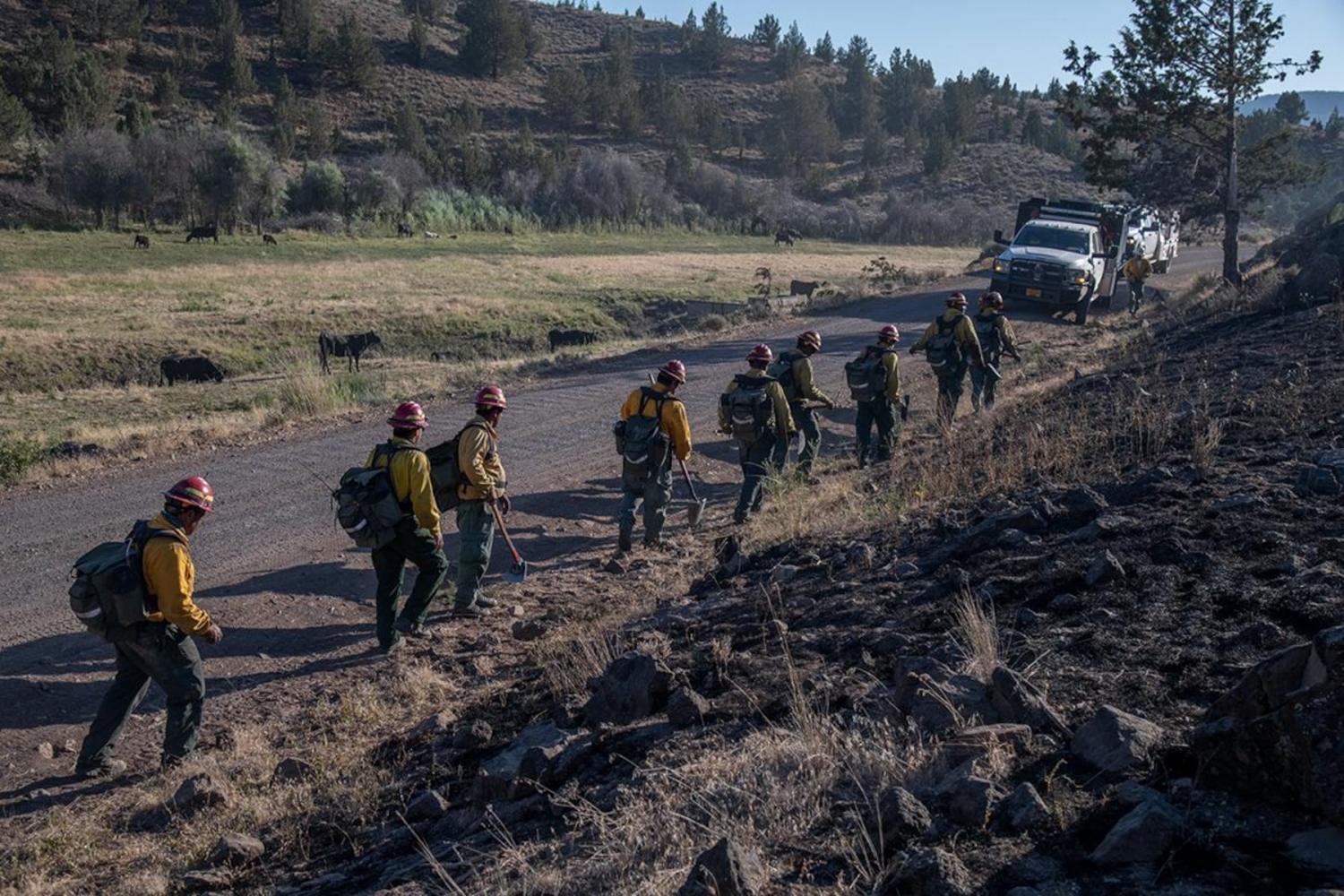 Wildfire in eastern Oregon 90% contained as fire crews make progress throughout state