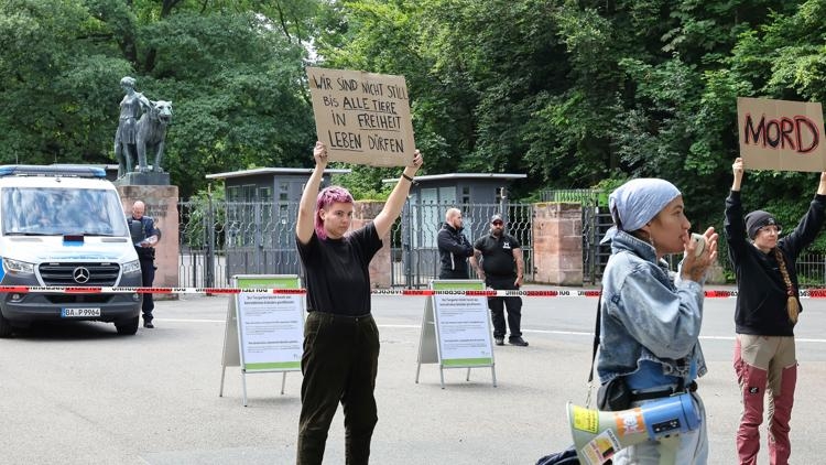 A German zoo faces a backlash after killing 12 healthy baboons