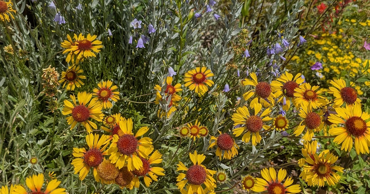 Speaker series at the Center for Native Plants