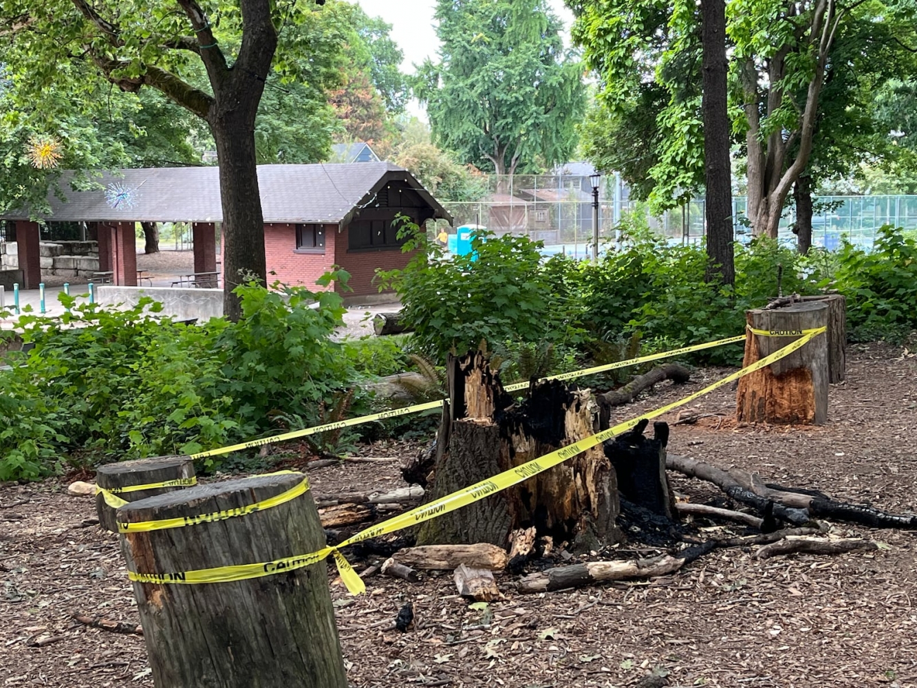 Police arrest suspected serial arsonist after multiple blazes set in Portland over 10 days
