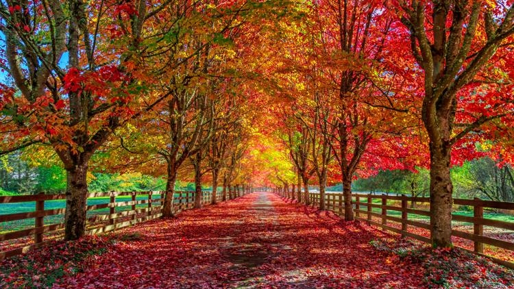 Farmers' Almanac releases fall 2025 forecast