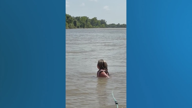 Video: Wakesurfing prodigy has close call with alligator