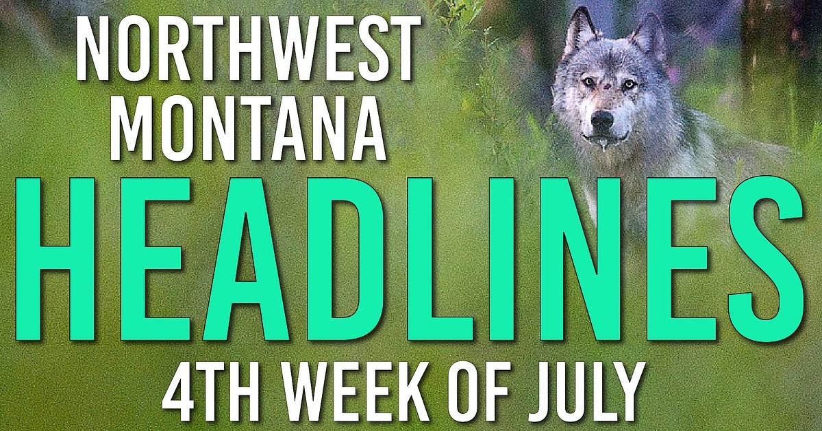 Wolves in the crosshairs, veto overridden and Bigfork bridge rebuild begins