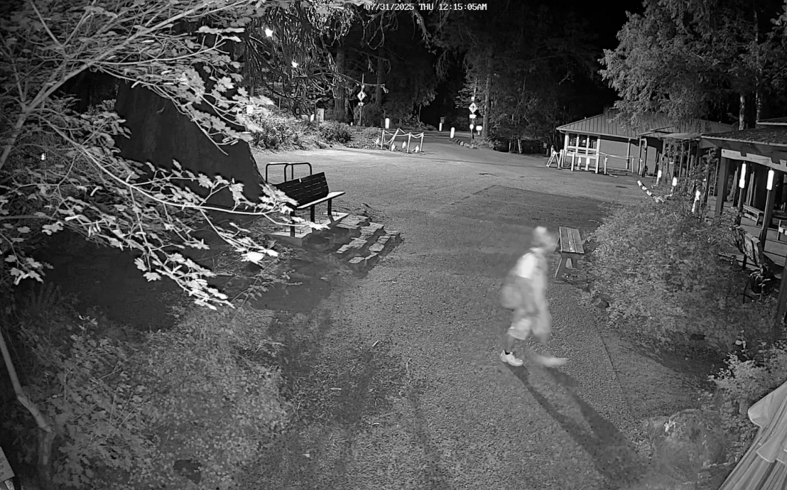 Break-in, vandalism at Bird Alliance of Oregon’s wildlife center leads to at least one bird’s death