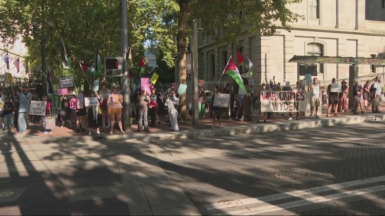 Portland rally pleas for permanent ceasefire, end to humanitarian crisis in Gaza