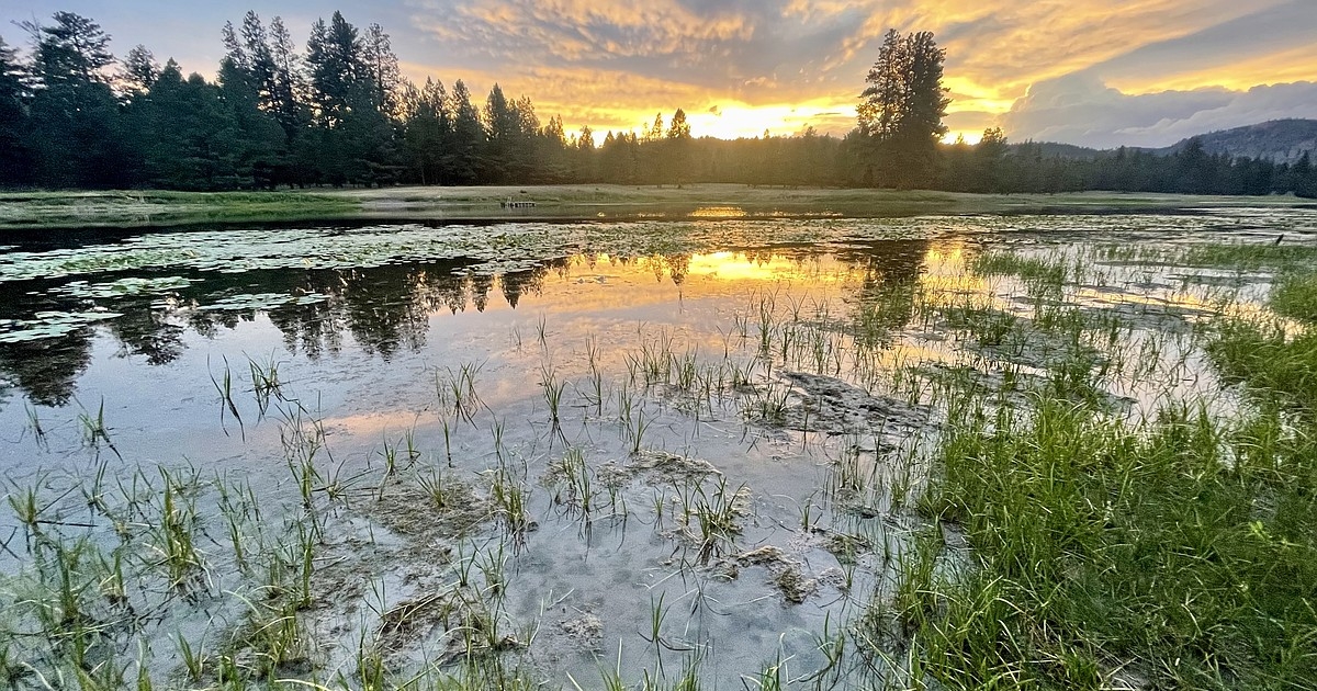 Rinse and repeat: Northwest Montana’s summer soaked in rain