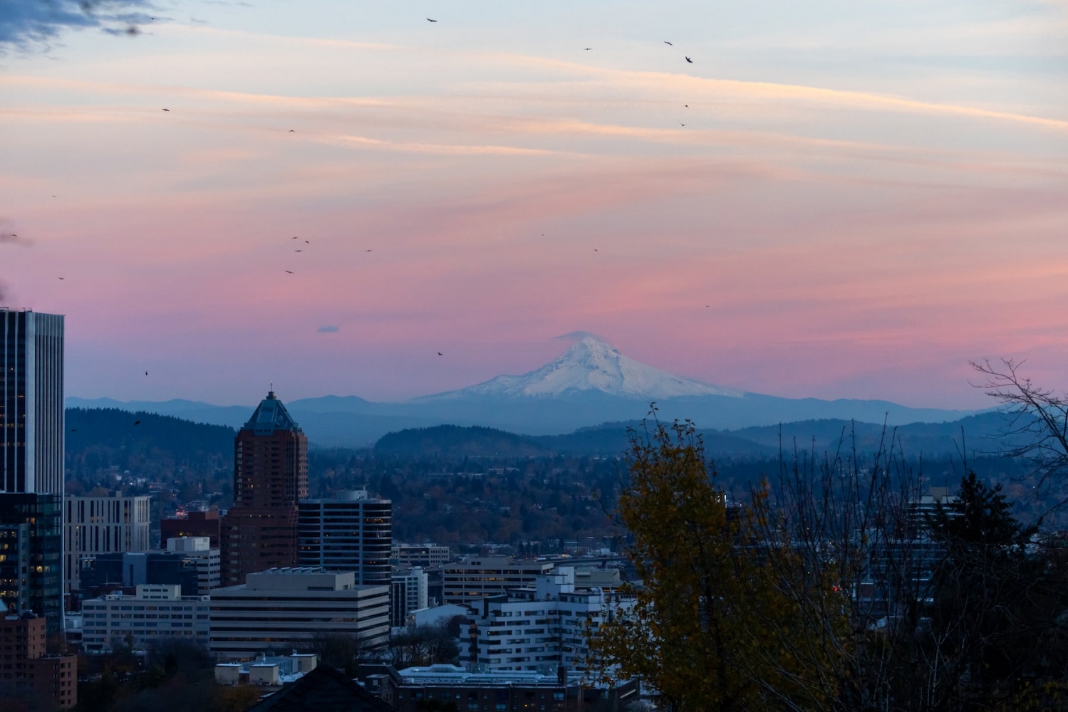 Don’t panic — it’s just a test: county emergency alert will light up phones in Portland area next week