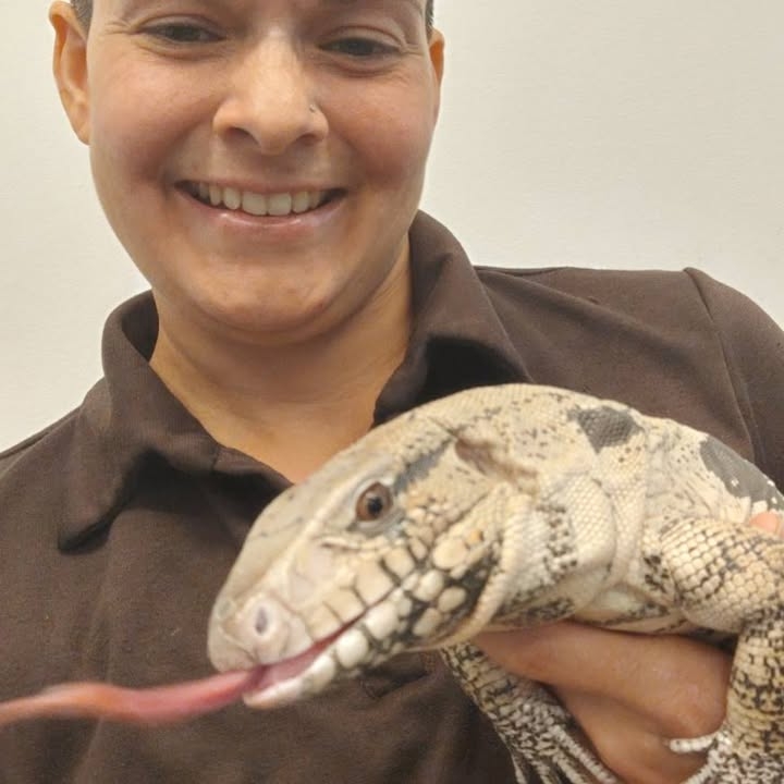 Explore the weird and wonderful world of animals with Creature Teachers at 6:00pm on Thursday, August 7! Creature Teachers will bring 7 to 10 animals and talk about the animals. Following the end of the presentation, there is a brief meet and greet with all the animals.
This program is made possible through funding from the Coos County Library Services District. Photos belong to the Creature Teachers.Photos from Coos Bay Library's post