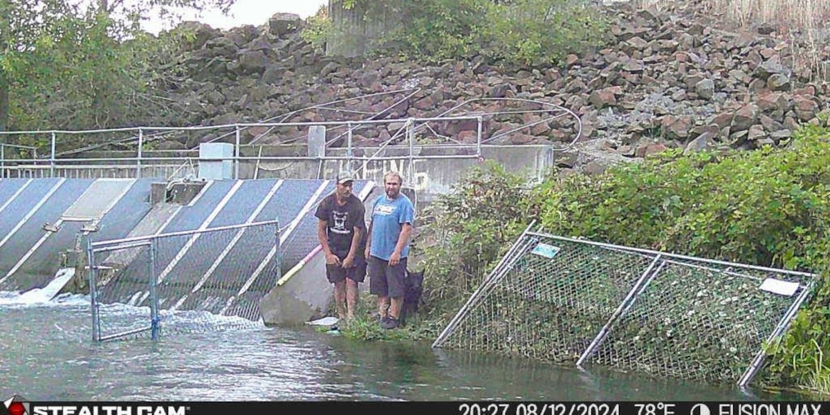 Two men sought after salmon theft at Oregon hatchery