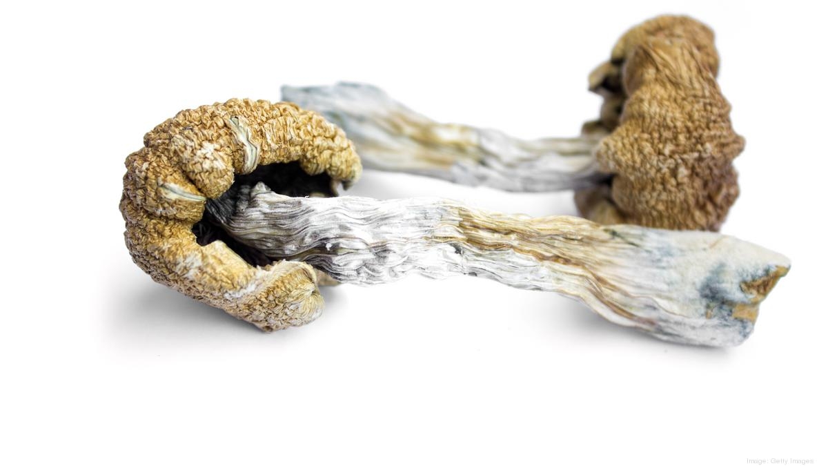 Psilocybin reduced depression in low-income adults in Oregon study