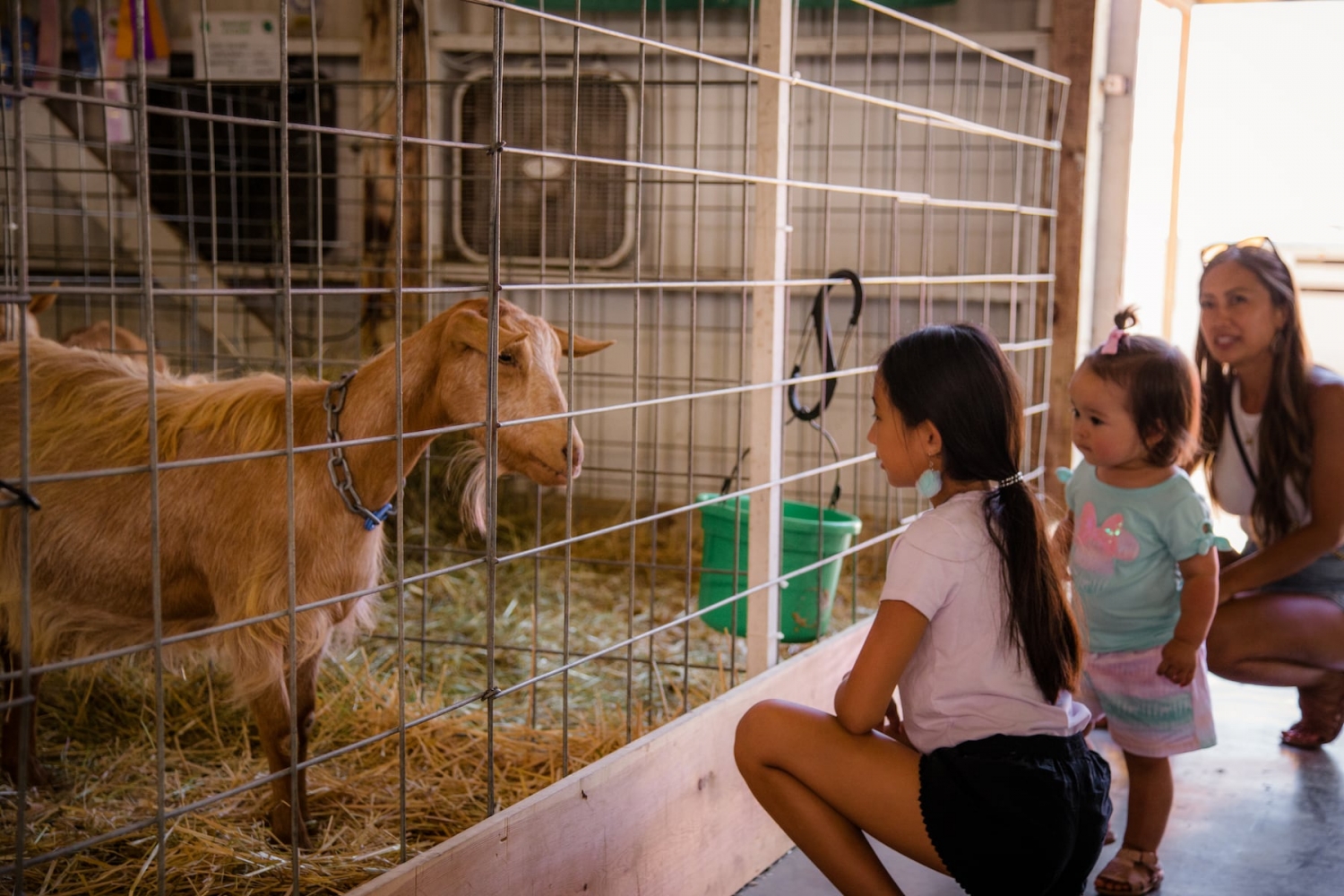 Clark County Fair, Beaverton Night Market, PUGapalooza: 12 things to do this week