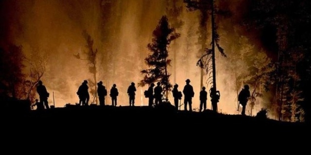 New Image