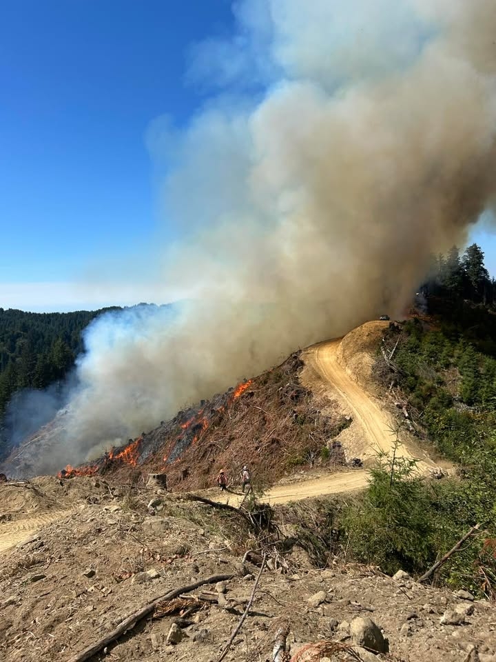 #ScholfieldRidgeFire🔥(4.5 miles South East of Reedsport) — 🚫 No homes threatened or evacuations ordered at this time. Please 🙏🏻 avoid the area for firefighter safety and suppression efforts.Scholfield Ridge Fire, 4.5 miles South East of Reedsport, 08/12/2025:
The fire is estimated to be 40 acres at this time with a full response from Coos Forest Protective Association. Also responding is Douglas Forest Protective Association, United States Forest Service, Severity Aircraft from Oregon Department of Forestry, and contract resources such as crews, engines, and medical personnel.
Please stay away from the Scholfield Road area if possible. No homes are currently threatened but the situation is being monitored.
This fire is currently under investigation.