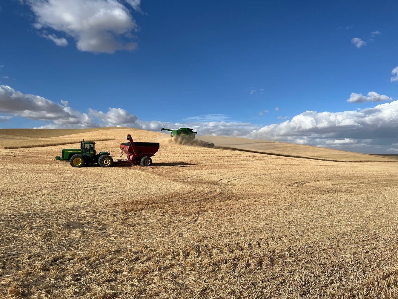 Dependent on foreign sales, U.S. wheat farmers hoping longtime partners stick with them