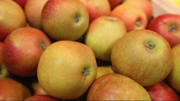 Oregon Heritage Farms shuts down after 28 years