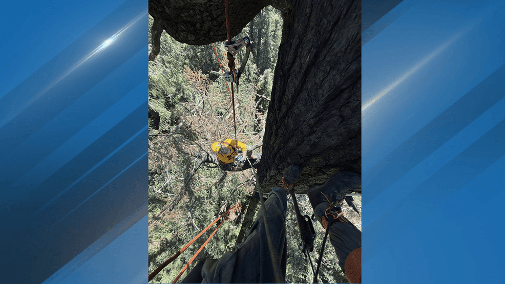 Firefighters keep watch on historic Doerner Fir after successful hotspot suppression