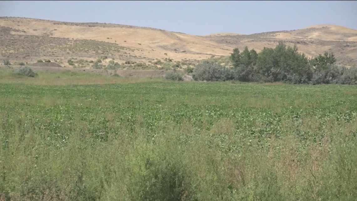 Grassy Mountain Gold Project mine being proposed for Eastern Oregon
