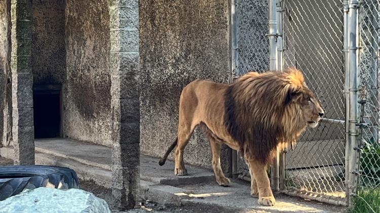 Oregon zoo owner indicted on more than 300 animal neglect charges