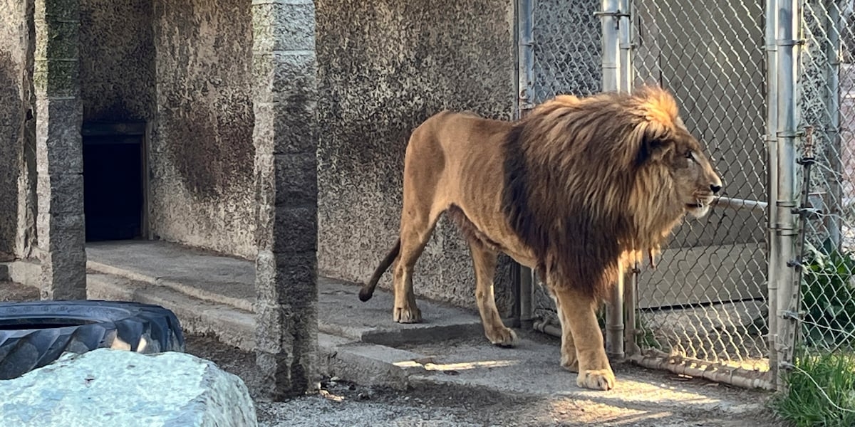 Oregon safari park owner indicted on 371 charges