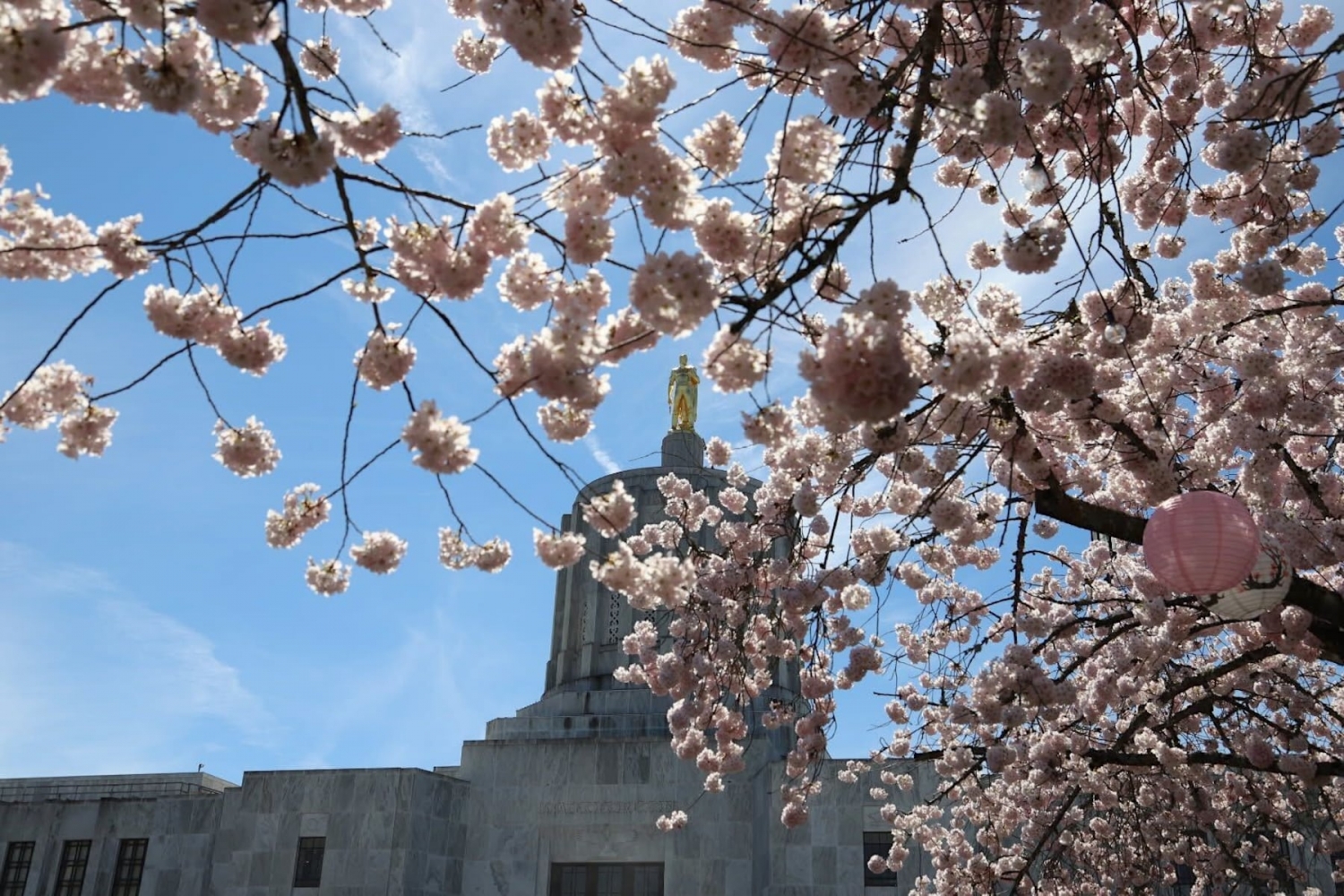 Oregon’s budget has a $370M problem, economists say: ‘It’s now in the red’
