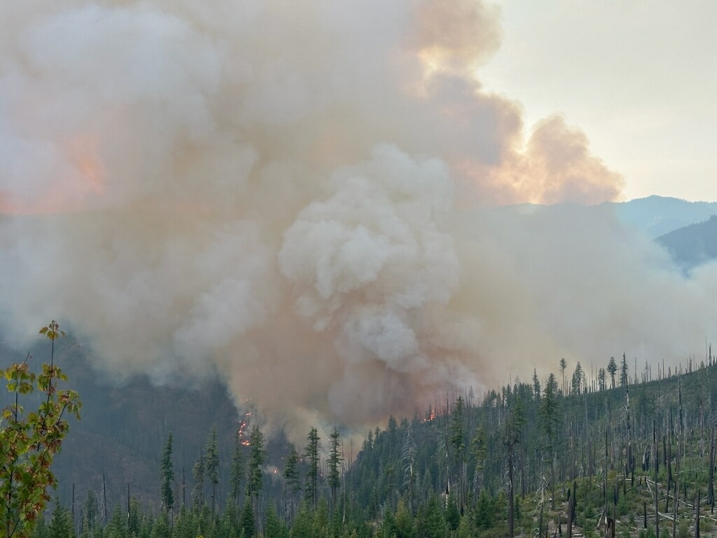 Growth on Emigrant Fire continues as crews revitalize old fire line