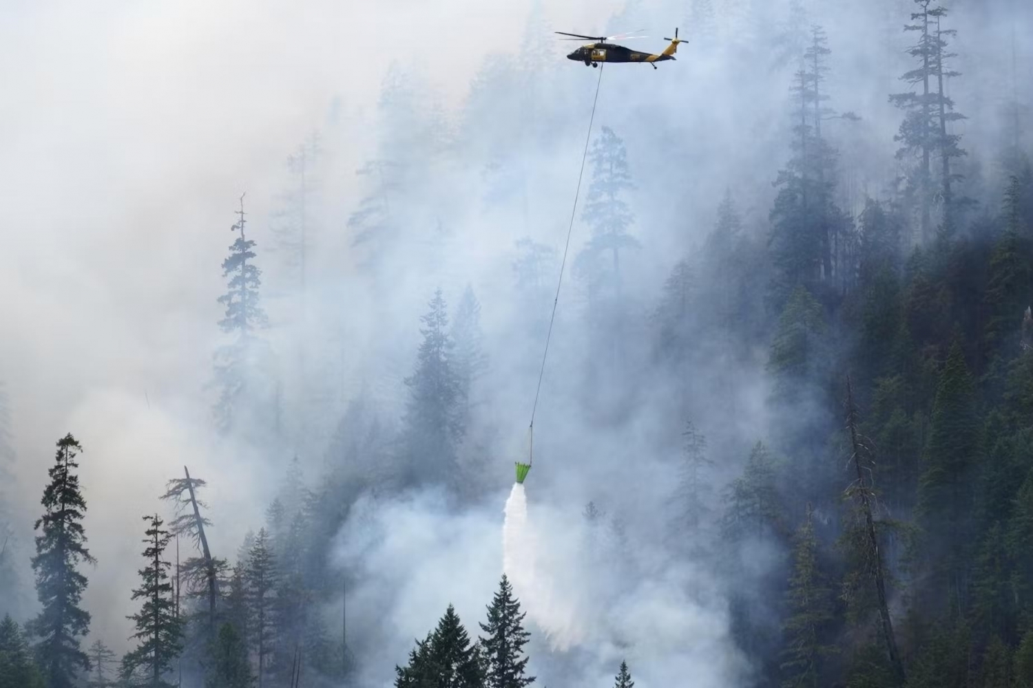 Firefighter from Oregon detained by Border Patrol while fighting wildfire